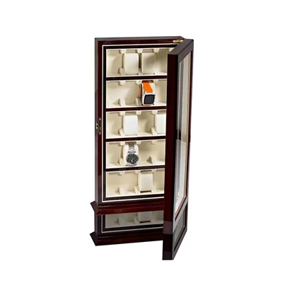 Luxury Watch Display Case
